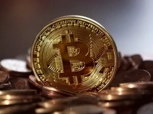 bitcoin course